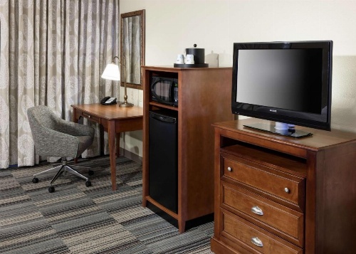 Hampton Inn By Hilton & Suites Colorado Springs/I-25 South image 8